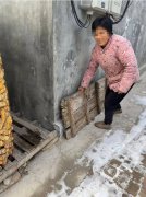 她需要翻墙或者扔玉米