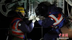 一群年轻人正仰望着头顶